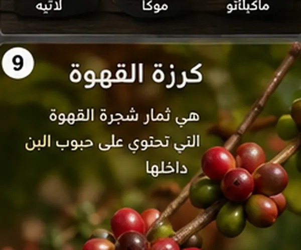تأثير الحضارات القديمة على أسماء القهوة السعودية