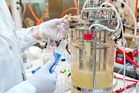 The Importance of Calibration Labs in Sadat City for Industrial Quality