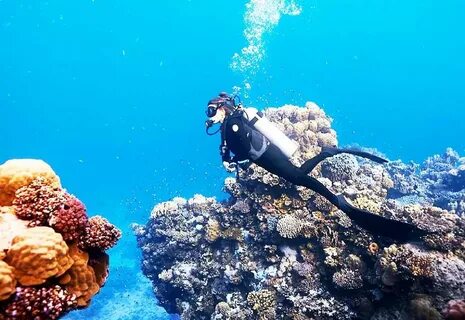 Discover Underwater Wonders: Hurghada Family Snorkeling Trip