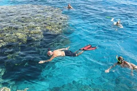 The Ultimate Guide to Choosing Hurghada Snorkeling Packages
