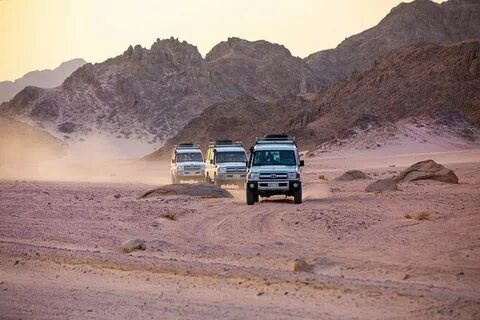 Sail the Red Sea: Day Trips from Hurghada to Mahmya Island
