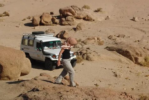 Swimming with Exotic Marine Life in the Red Sea