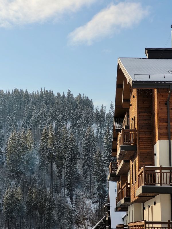 المواد المستخدمة في بناء eco house borjomi cottage وتأثيرها على البيئة
