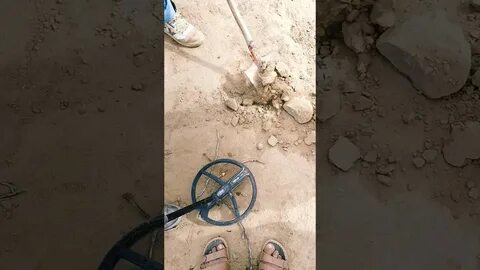 قوة الكشف الذهبي: كيف يتفوق أفضل جهاز كشف في العالم؟